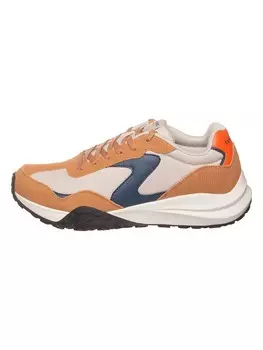 Кроссовки на шнуровке Skechers Leder-Sneakers Frenzy, цвет Hellbraun/Creme