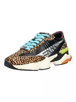 Кроссовки на шнуровке Steve Madden, цвет leopard