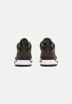 Кроссовки на шнуровке Timberland, коричневый