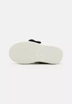 Кроссовки на шнуровке UNISEX MOSCHINO, черный