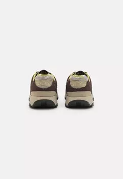 Кроссовки на шнуровке WINSOR PARK Timberland, темно-коричневый