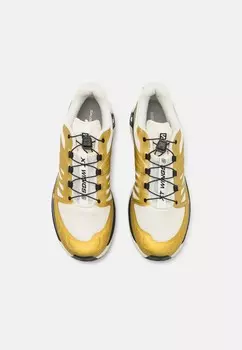Кроссовки на шнуровке XT-WINGS 2 UNISEX Salomon, бежевый