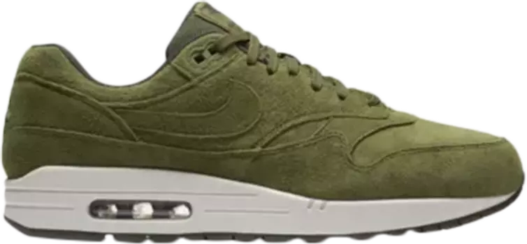 Кроссовки Nike Air Max 1 Premium 'Olive Canvas', зеленый