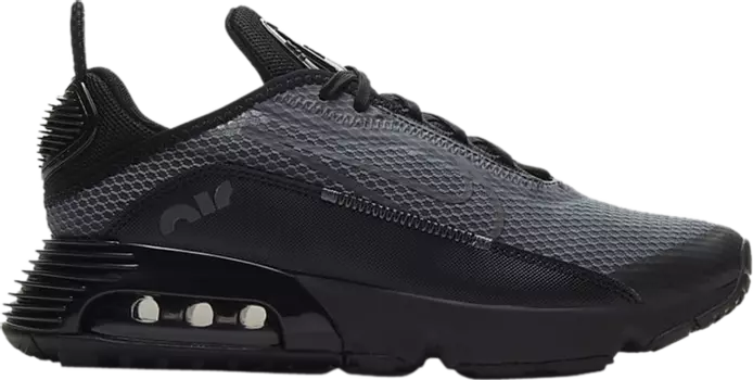Кроссовки Nike Air Max 2090 GS 'Black Wolf Grey', черный