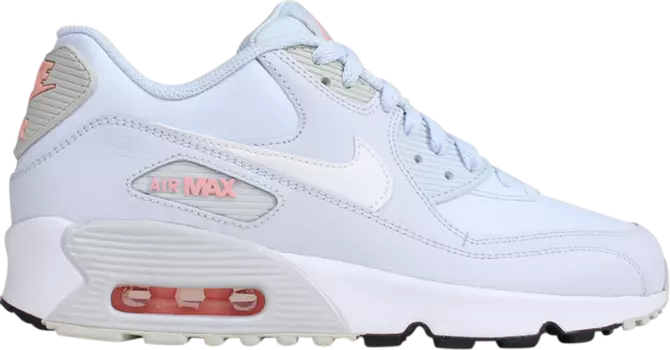 Кроссовки Nike Air Max 90 Leather GS 'Half Blue', синий