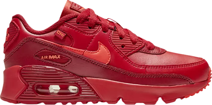 Кроссовки Nike Air Max 90 PS 'City Special - Chicago', красный