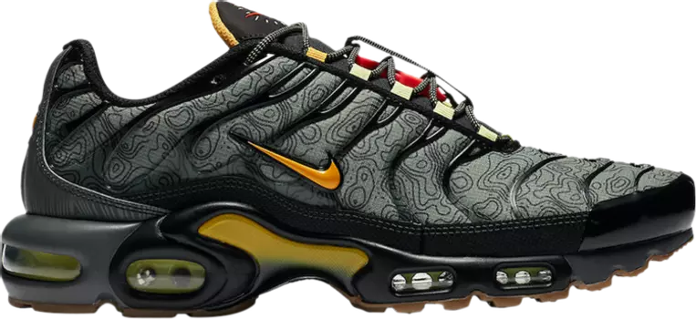 Кроссовки Nike Air Max Plus 'Fresh Perspective', зеленый