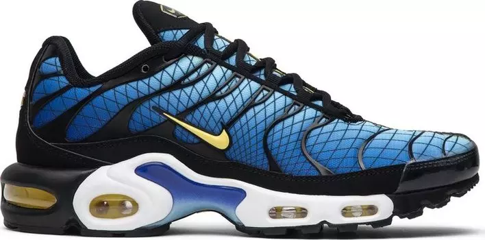 Кроссовки Nike Air Max Plus 'Greedy', многоцветный