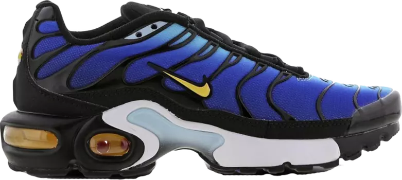 Кроссовки Nike Air Max Plus GS 'Hyper Blue', синий
