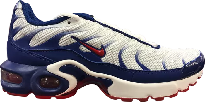 Кроссовки Nike Air Max Plus GS 'USA', красный