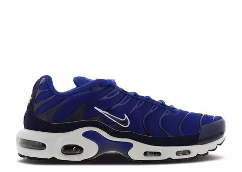 Кроссовки Nike AIR MAX PLUS TN 'INDIGO FORCE',