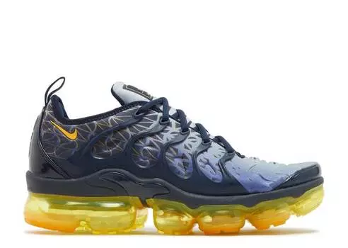 Кроссовки Nike AIR VAPORMAX PLUS 'INDIGO STORM',