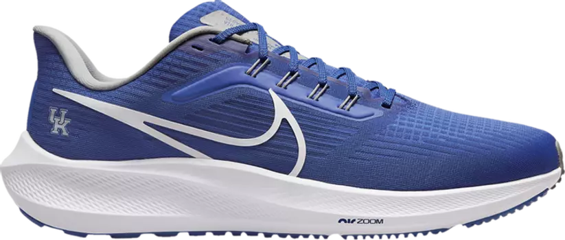 Кроссовки Nike Air Zoom Pegasus 39 'Kentucky', синий