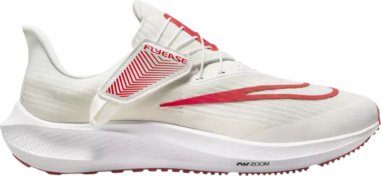 Кроссовки Nike Air Zoom Pegasus 39 FlyEase 'White Light Crimson', белый