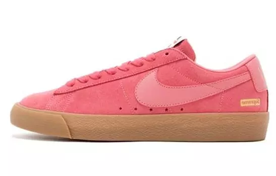 Кроссовки Nike Sb Blazer Low Gt Supreme Desert Bloom