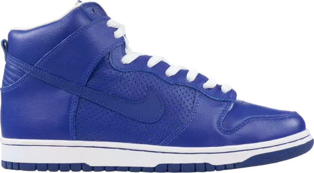 Кроссовки Nike Dunk High Pro SB 'T-19', синий