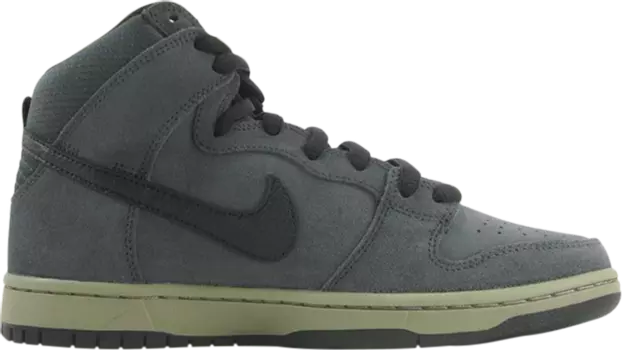 Кроссовки Nike Dunk High Pro Sb, черный