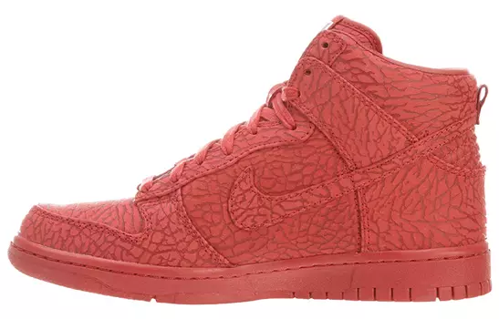 Кроссовки Nike Dunk High Premium Ultimate Glory