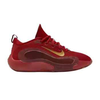 Кроссовки Nike IsoFly GS Gym Red Metallic Gold, красный