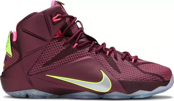 Кроссовки Nike LeBron 12 'Double Helix', фиолетовый