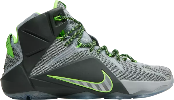 Кроссовки Nike LeBron 12 'Dunkman', серый