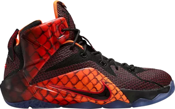 Кроссовки Nike Lebron 12 GS, многоцветный