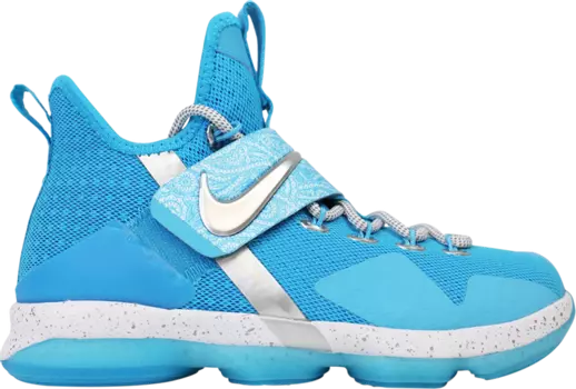 Кроссовки Nike LeBron 14 GS 'The Nature Boy', синий