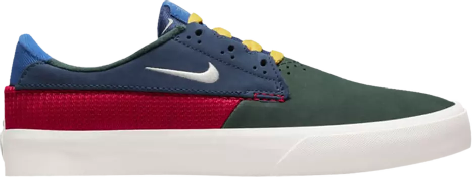 Кроссовки Nike Shane SB 'Multi', многоцветный