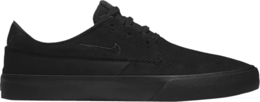 Кроссовки Nike Shane SB 'Triple Black', черный