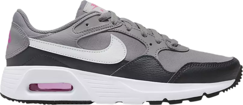 Кроссовки Nike Wmns Air Max SC 'Flat Pewter', серый