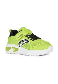 Кроссовки низкие ASSISTER Geox, цвет lime black