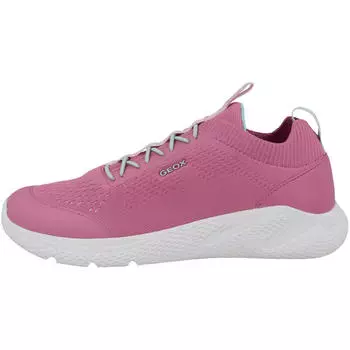 Кроссовки низкие J Sprintye G.B девочки GEOX, цвет rosa