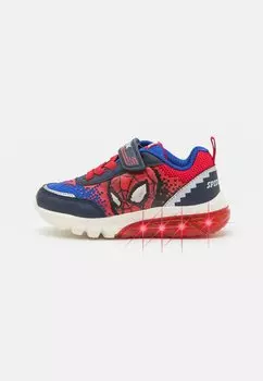 Кроссовки низкие MARVEL SPIDERMAN CIBERDRON BOY Geox, цвет navy/red