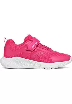 Кроссовки низкие SPRINTYE Geox, цвет fuchsia