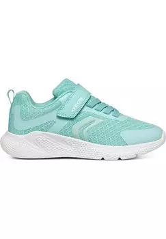 Кроссовки низкие SPRINTYE Geox, цвет sea green