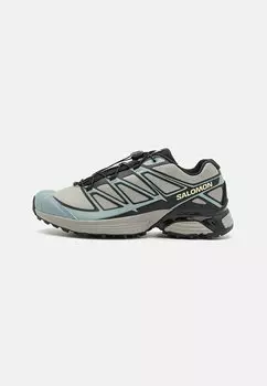 Кроссовки низкие XT-PATHWAY UNISEX Salomon, цвет ghost gray/arona/black