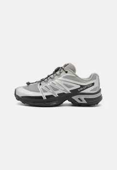 Кроссовки низкие XT-WINGS 2 UNISEX Salomon, цвет ghost gray/silver reflective/black