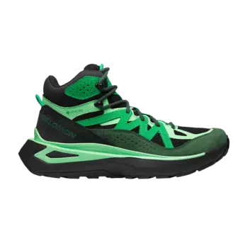 Кроссовки Odyssey ELMT Mid GORE-TEX Salomon, зеленый