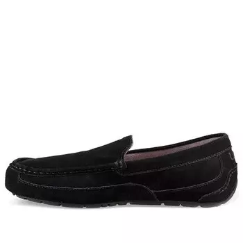 Кроссовки ольха Ugg, черный