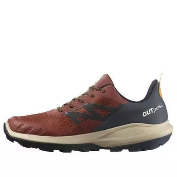 Кроссовки outpulse gtx 'burnt henna' Salomon, мультиколор