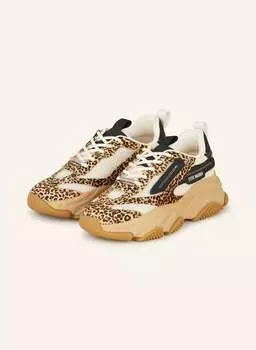 Кроссовки ownedl-e Steve Madden, мультиколор