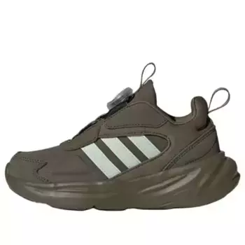 Кроссовки ozelle boa 'olive' Adidas, зеленый