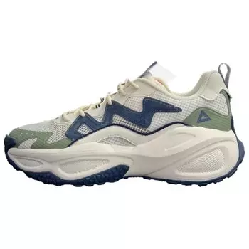 Кроссовки PEAK Lifestyle Shoes Men Low-top, синий