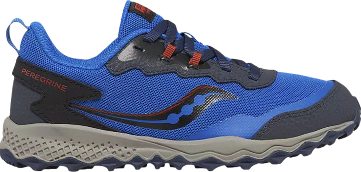 Кроссовки Peregrine KDZ Big Kid 'Blue Black', синий