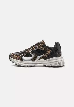 Кроссовки PLAJA Steve Madden, разноцветный