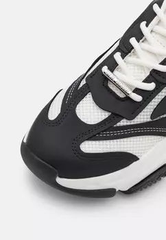 Кроссовки POSSESS Steve Madden, черный