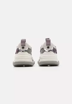Кроссовки POSSESSION-E Steve Madden, сирень