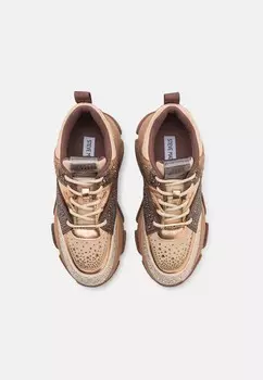 Кроссовки PRIVY Steve Madden, светло-коричневый