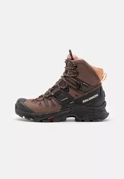 Кроссовки QUEST 4 GTX Salomon, цвет brown