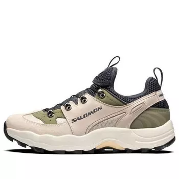 Кроссовки raid wind advanced 'beige' Salomon, бежевый